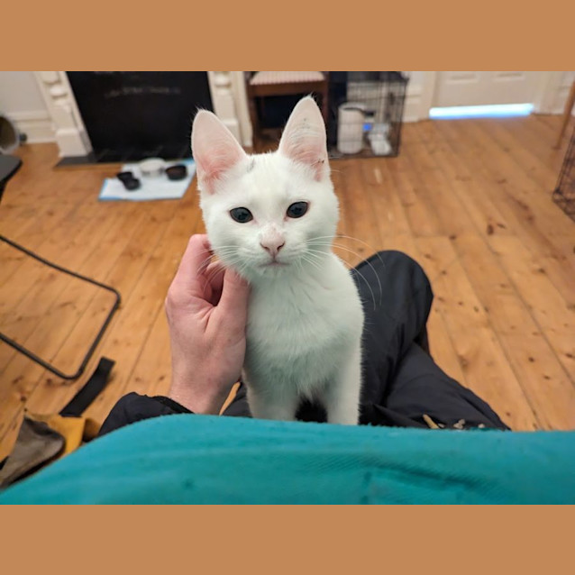 Photo of Fuzz Lightyear