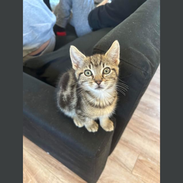 Photo of Fred