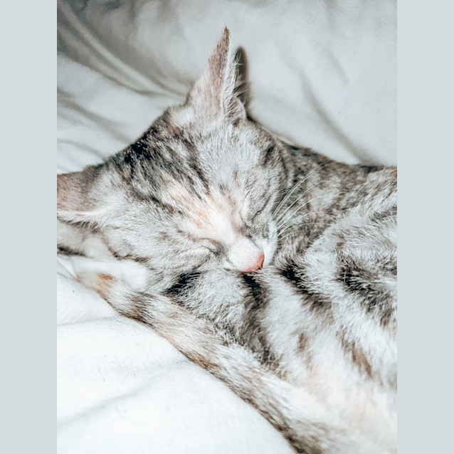 Photo of Billie Piper