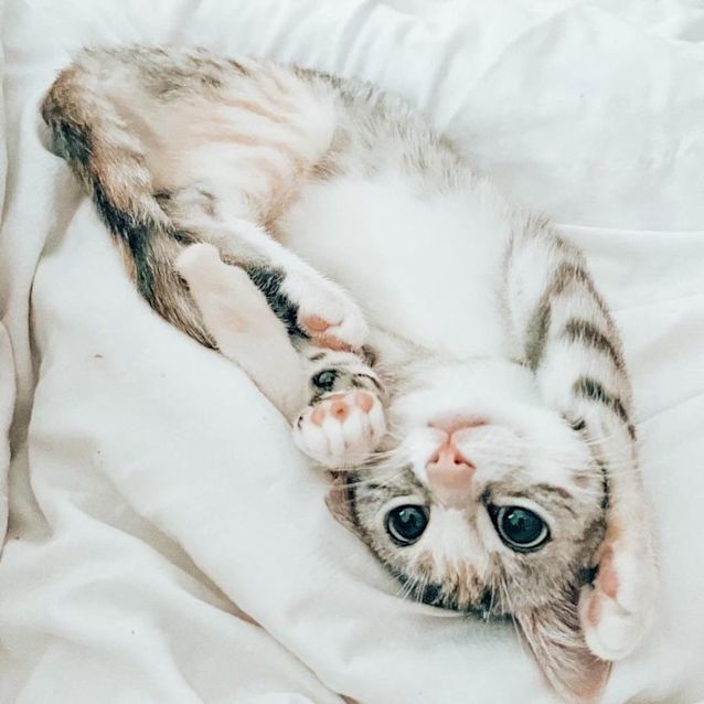 Photo of Billie Piper