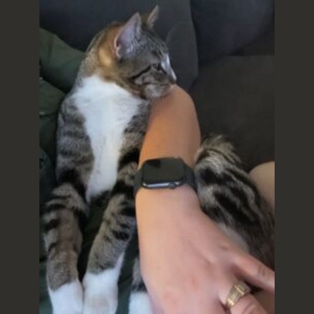 Photo of Jerry 💕🐾