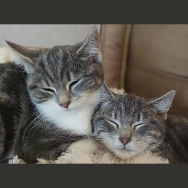 Photo of Lucy*Meet Me At Nek Hq 3rd June* 