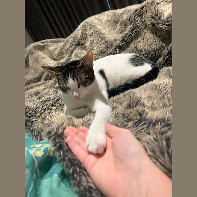 Photo of Prudence & Betty 😻😻