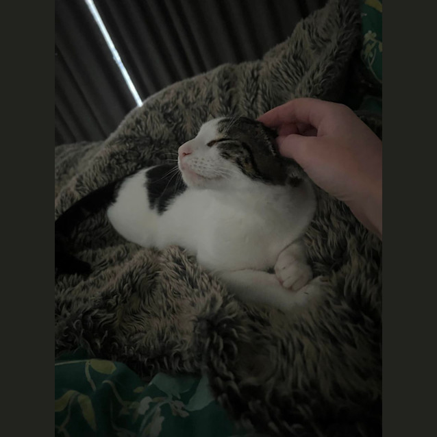 Photo of Prudence & Betty 😻😻