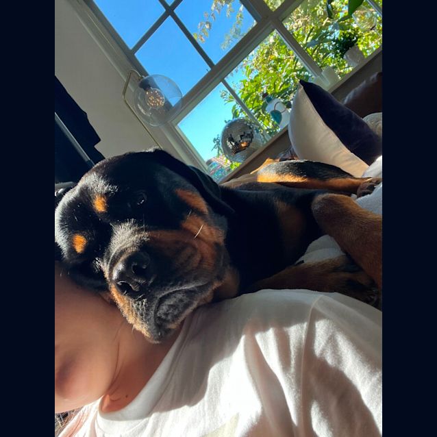 Photo of Zara