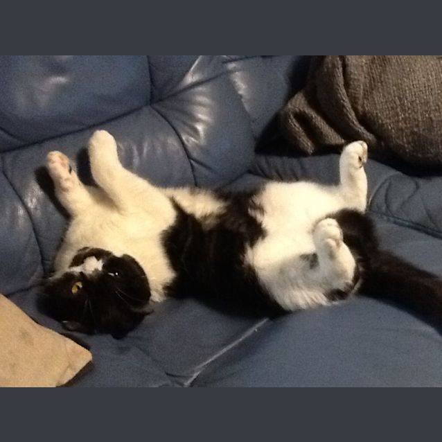 Photo of Jazz And Puds