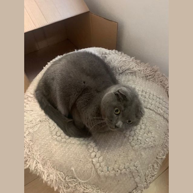 Photo of Jazz And Puds
