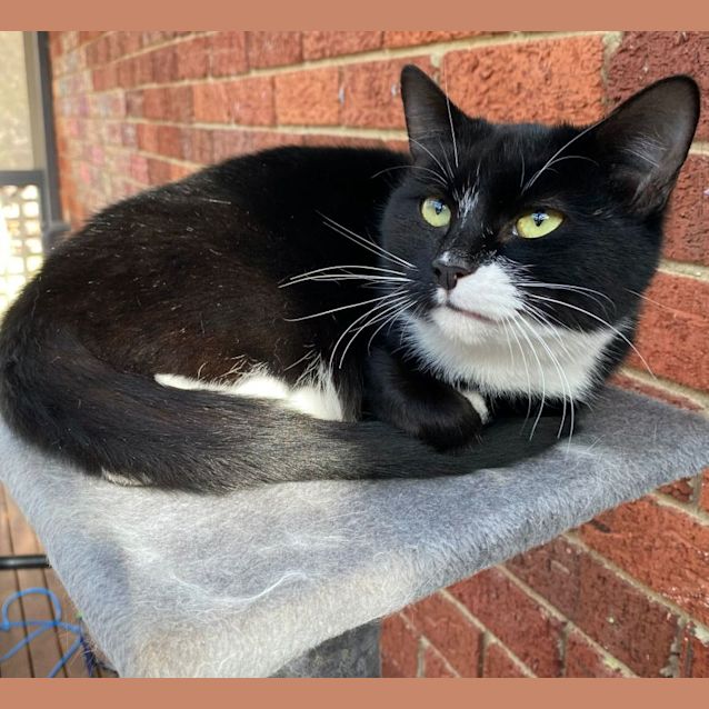 Photo of Luna