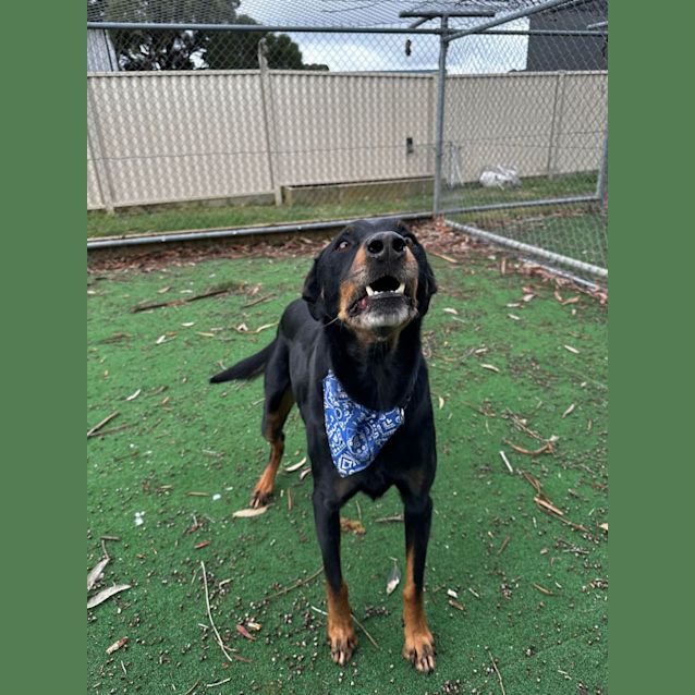 Photo of Max