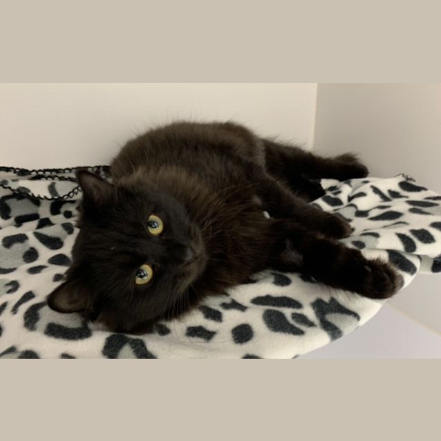 Photo of Freydis