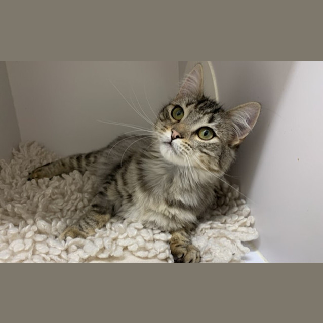Photo of Meggie