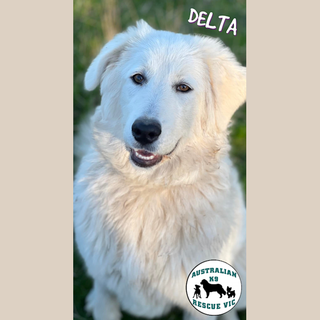 Photo of Delta
