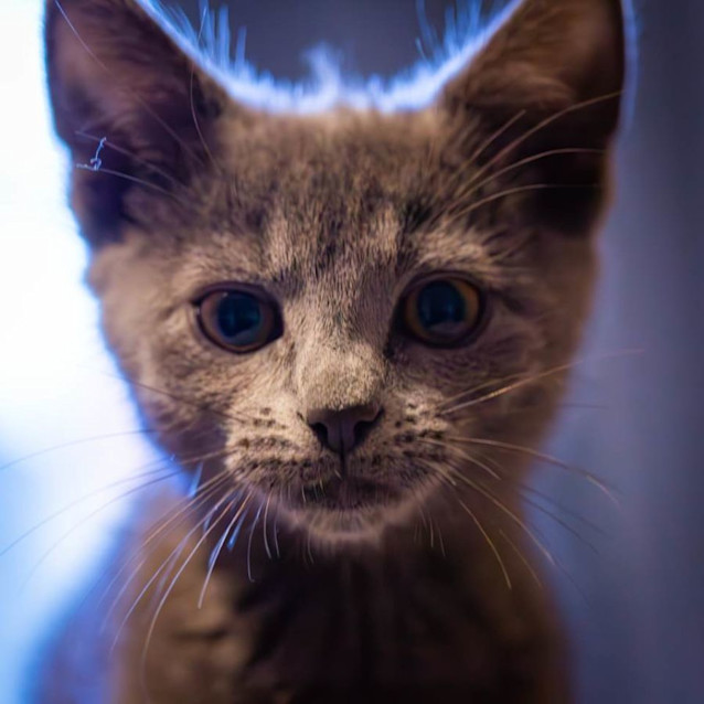Photo of 💙 Violet 💙