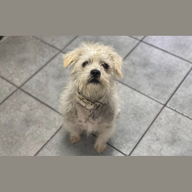 Photo of Max