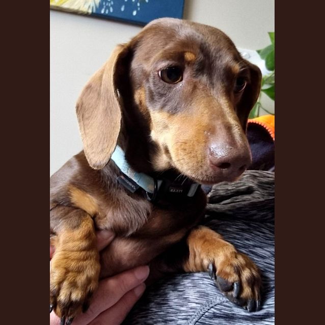 Photo of Wynnie