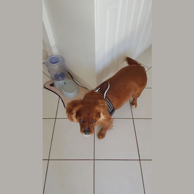 Photo of Bonnie King Charlie