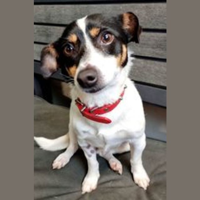Photo of Millie