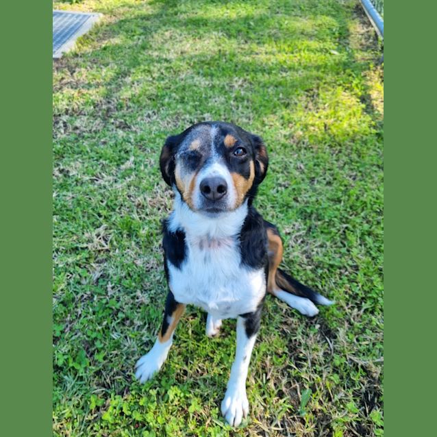 Photo of Skye
