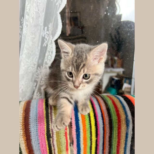 Photo of Rodger