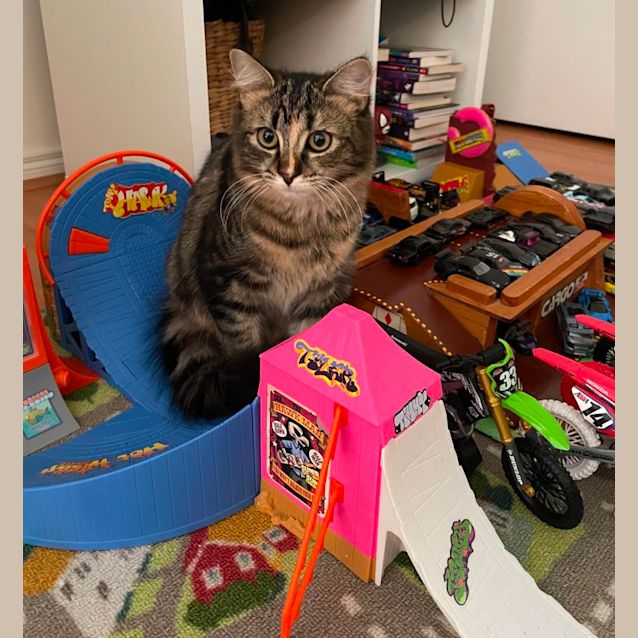 Photo of Storm (Located In Bundoora)