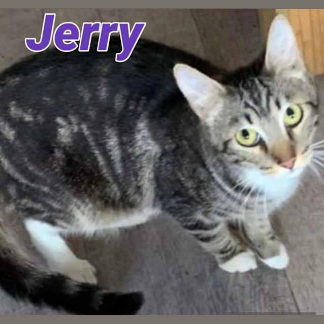 Photo of Jerry