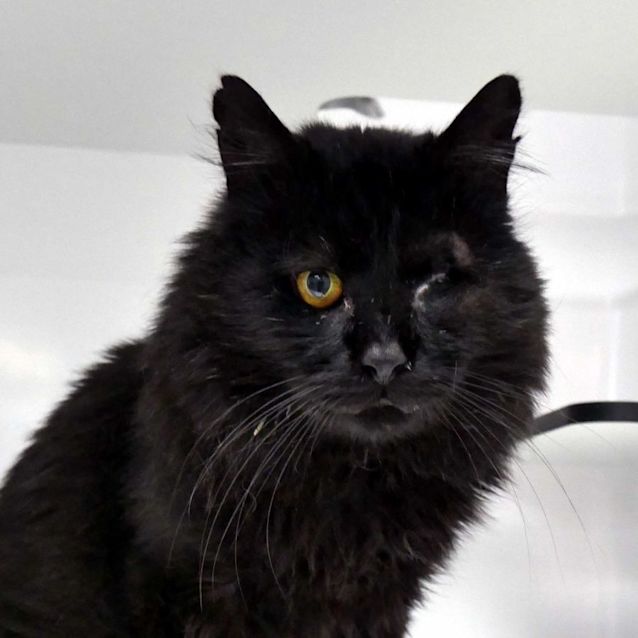 Photo of Jeffrey Rsta003102