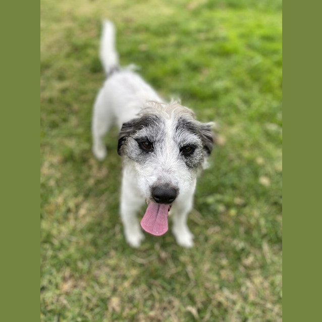 Photo of Gus