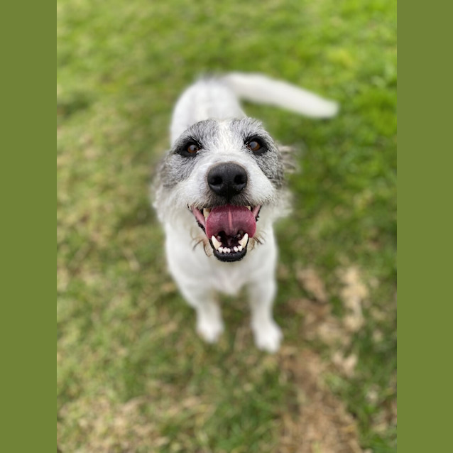 Photo of Gus