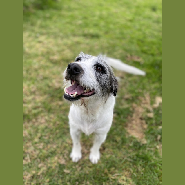 Photo of Gus