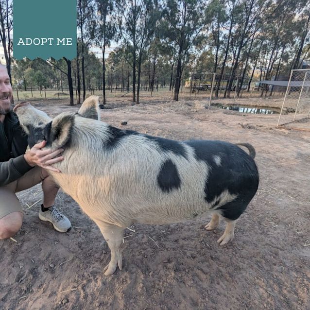 Photo of Cyril And Pippin