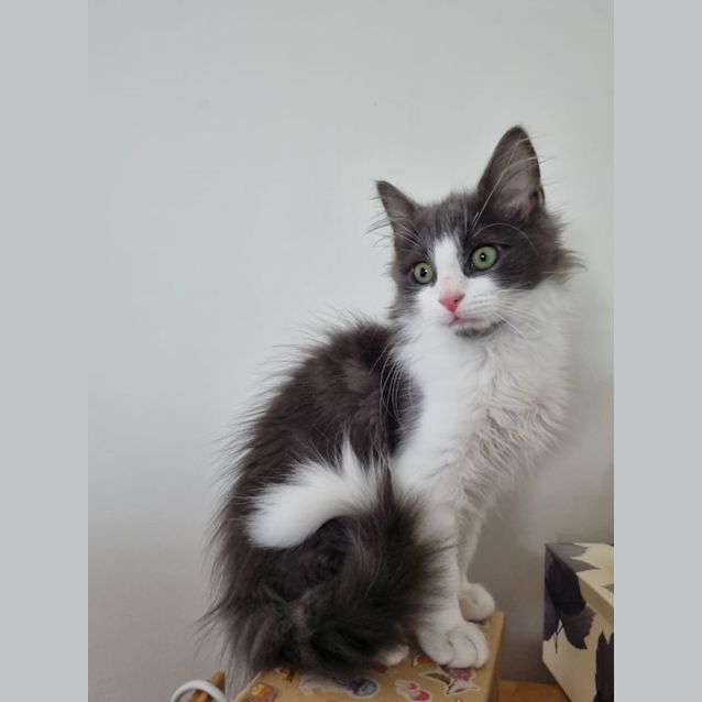 Photo of Ralph