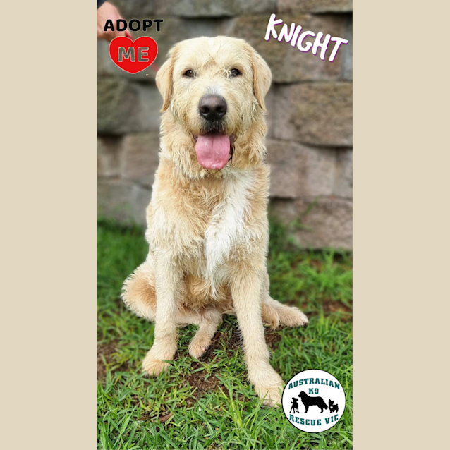 Photo of Knight