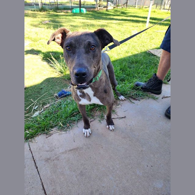 Photo of Roxy
