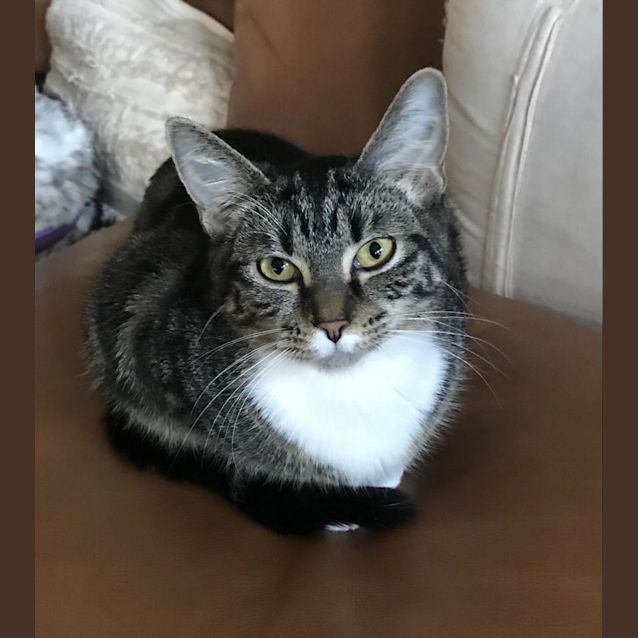 Photo of Skully