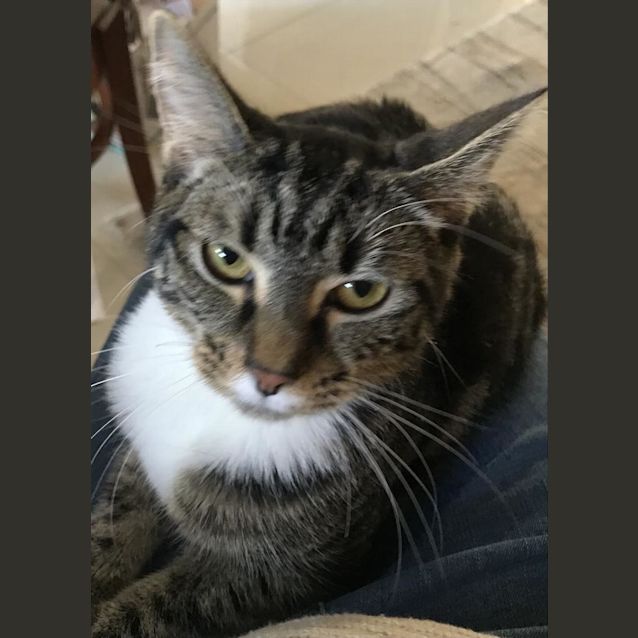Photo of Skully