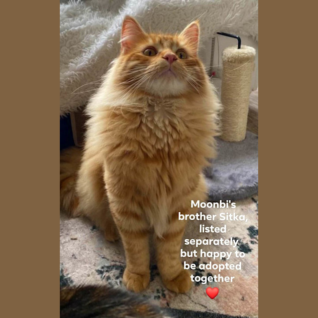 Photo of Moonbi ☀️