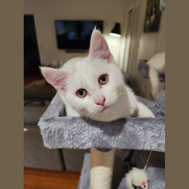 Photo of Jon Snow Meet Me At Petstock Hastings 18/6/23