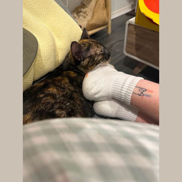 Photo of Inky And Aura