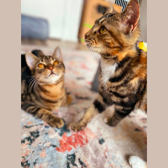 Photo of Elsie & Elmer