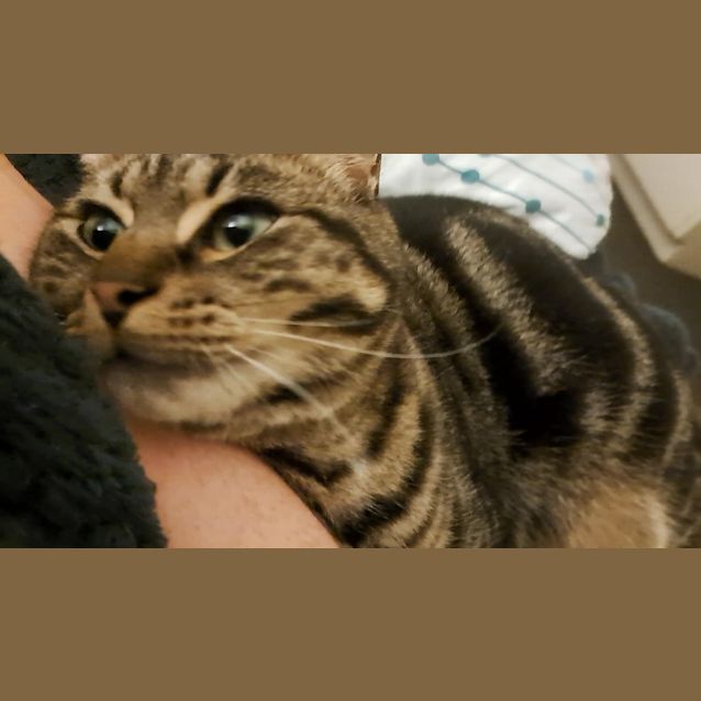 Photo of Daisy