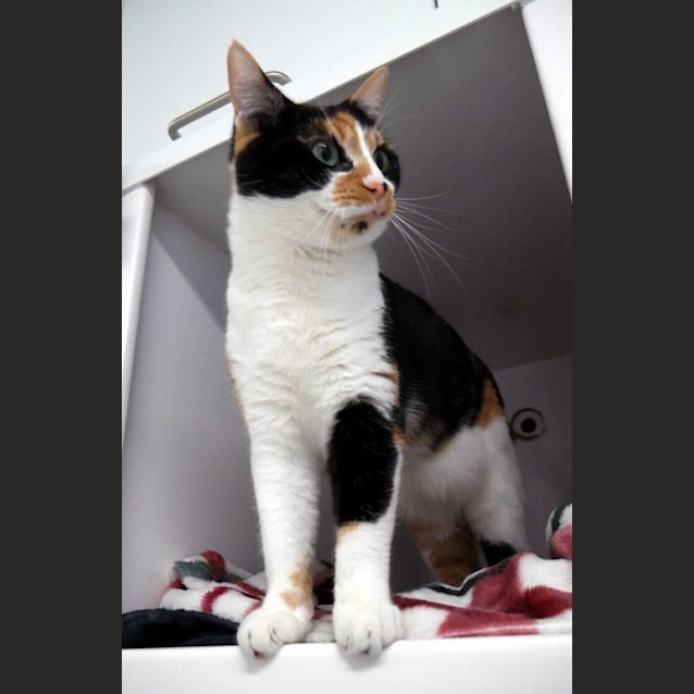 Photo of Jade Rsta010886