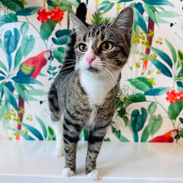 Photo of Olivia   Located In Westmeadows