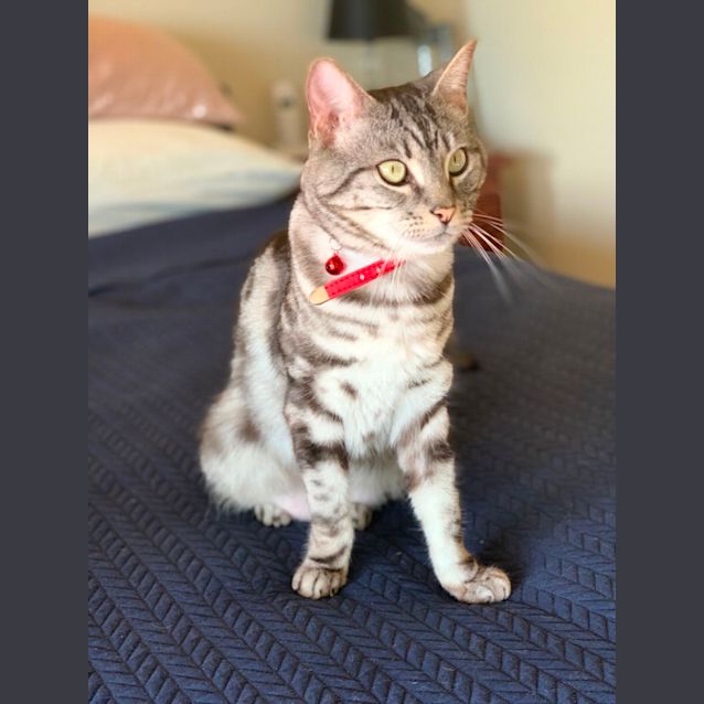 Photo of Drake##💙