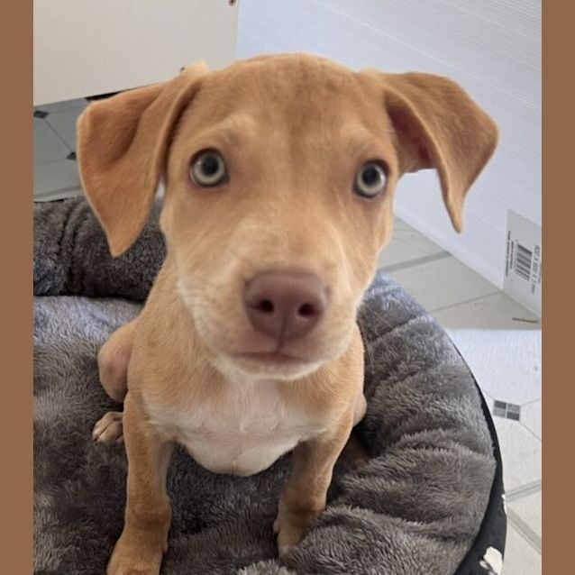 Photo of Hazel