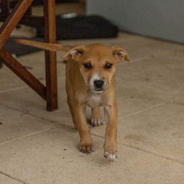 Photo of Malia