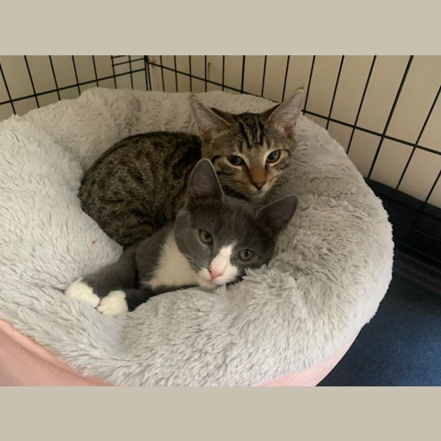 Photo of Marvelous Meredith