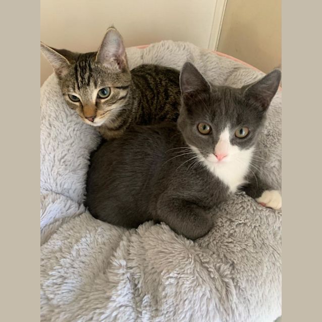 Photo of Marvelous Meredith