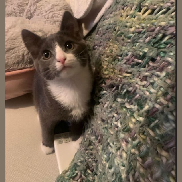 Photo of Marvelous Meredith