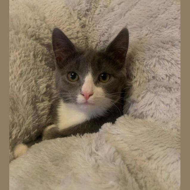 Photo of Marvelous Meredith