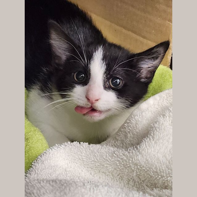 Photo of Luke   Belly Rub King